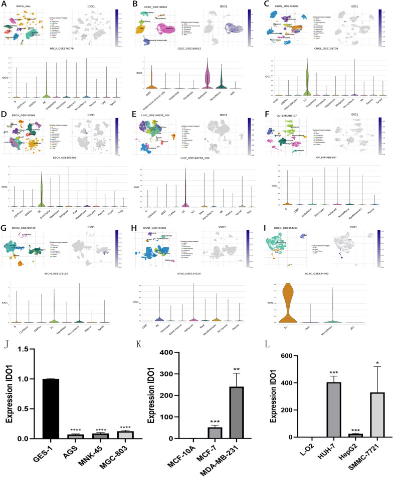 PMC10967207 – Fig12