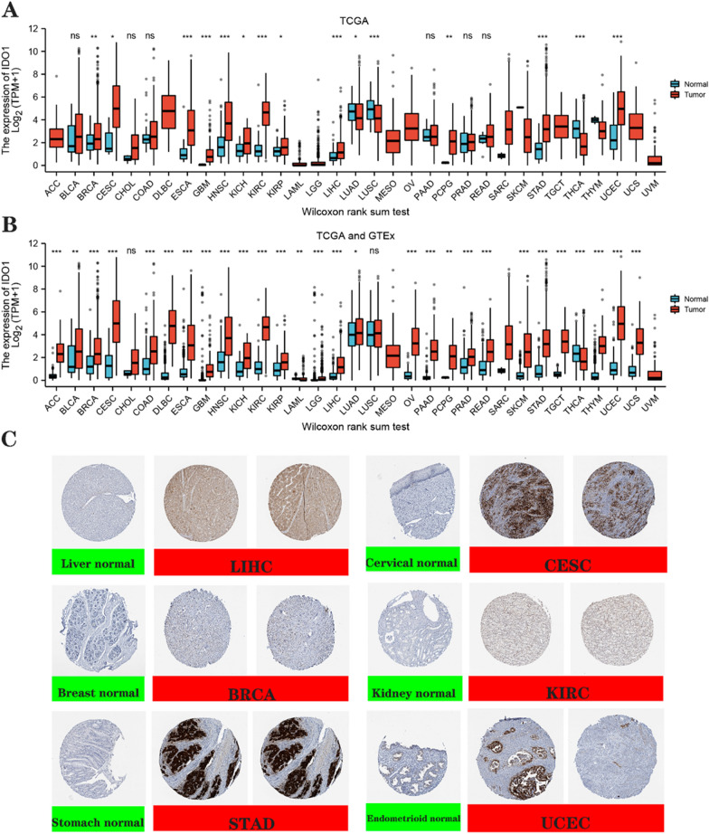 PMC10967207 – Fig1