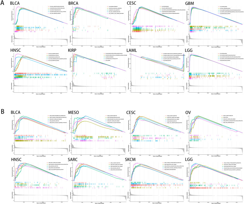 PMC10967207 – Fig9