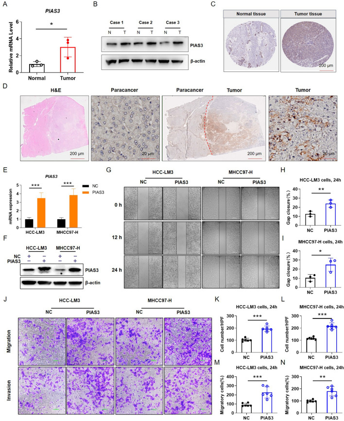 PMC10962104 – Fig13