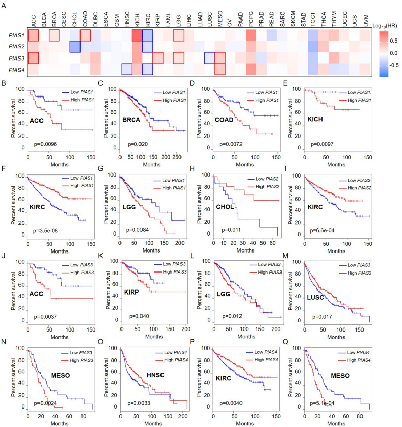 PMC10962104 – Fig3
