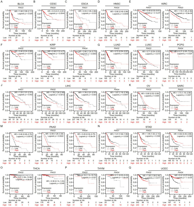 PMC10962104 – Fig4