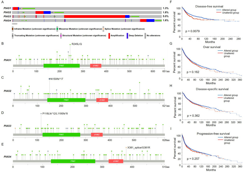 PMC10962104 – Fig6