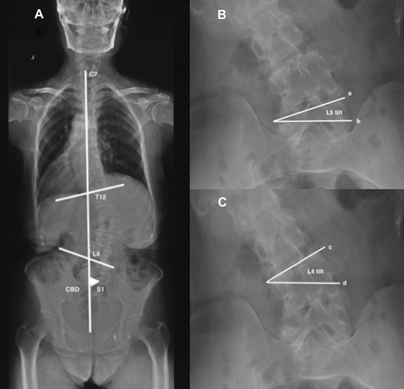 PMC10962204 – Fig1