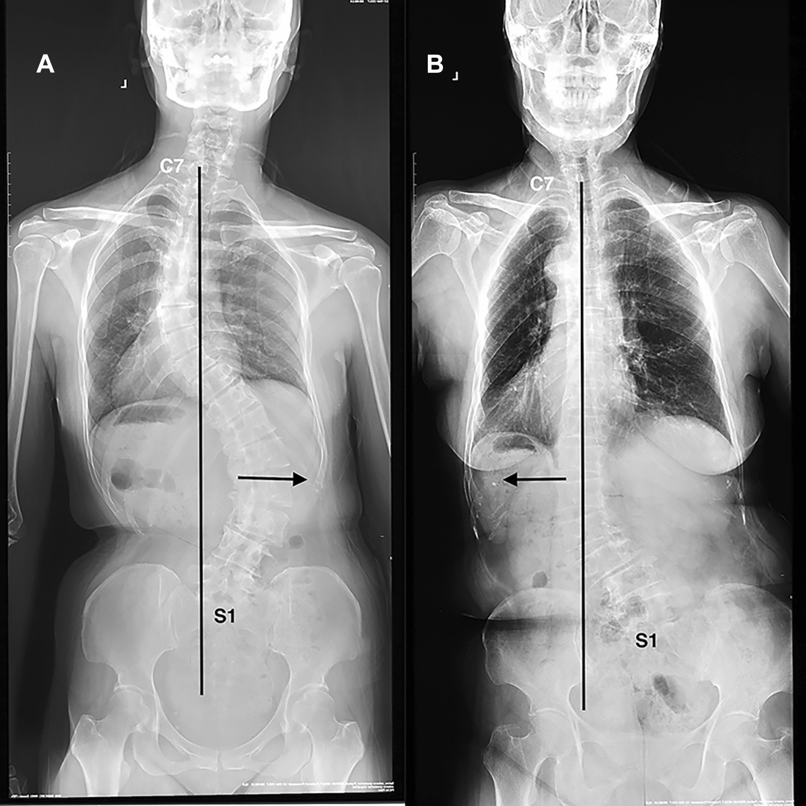 PMC10962204 – Fig2