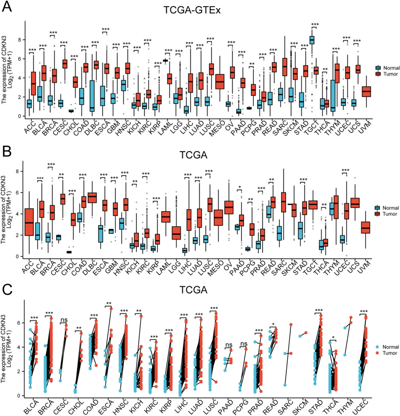PMC11077798 – Fig1