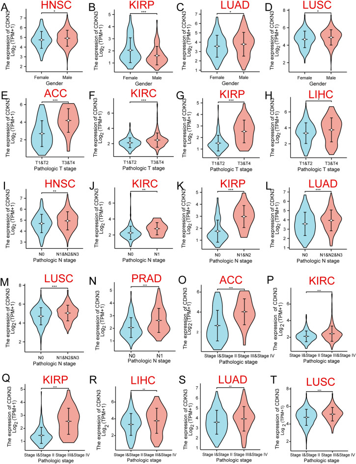 PMC11077798 – Fig3