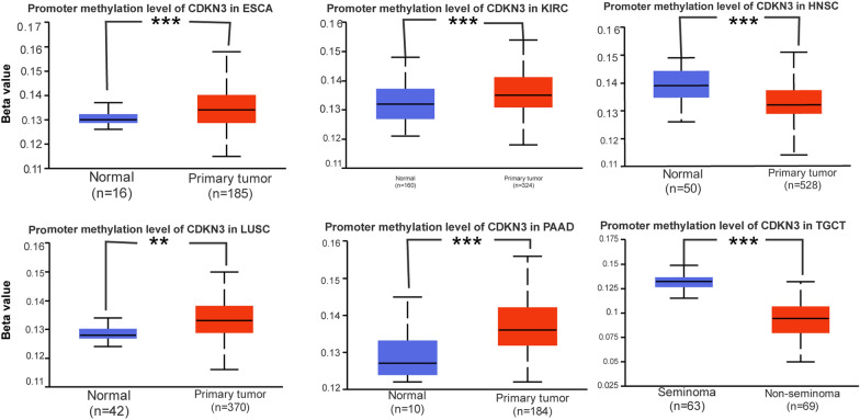 PMC11077798 – Fig6