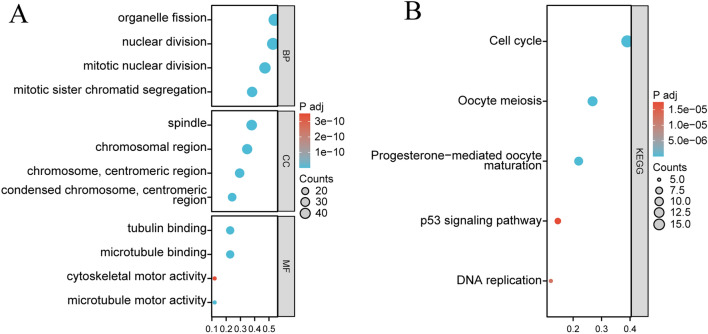 PMC11077798 – Fig7