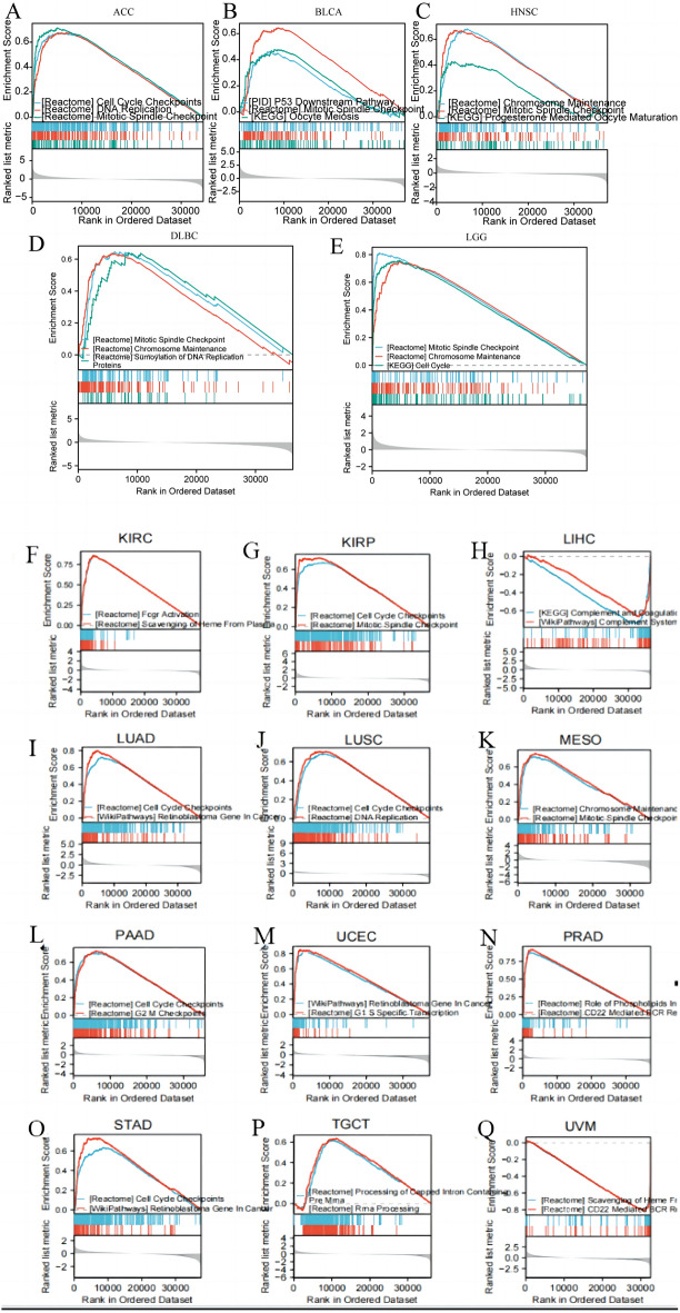 PMC11077798 – Fig8