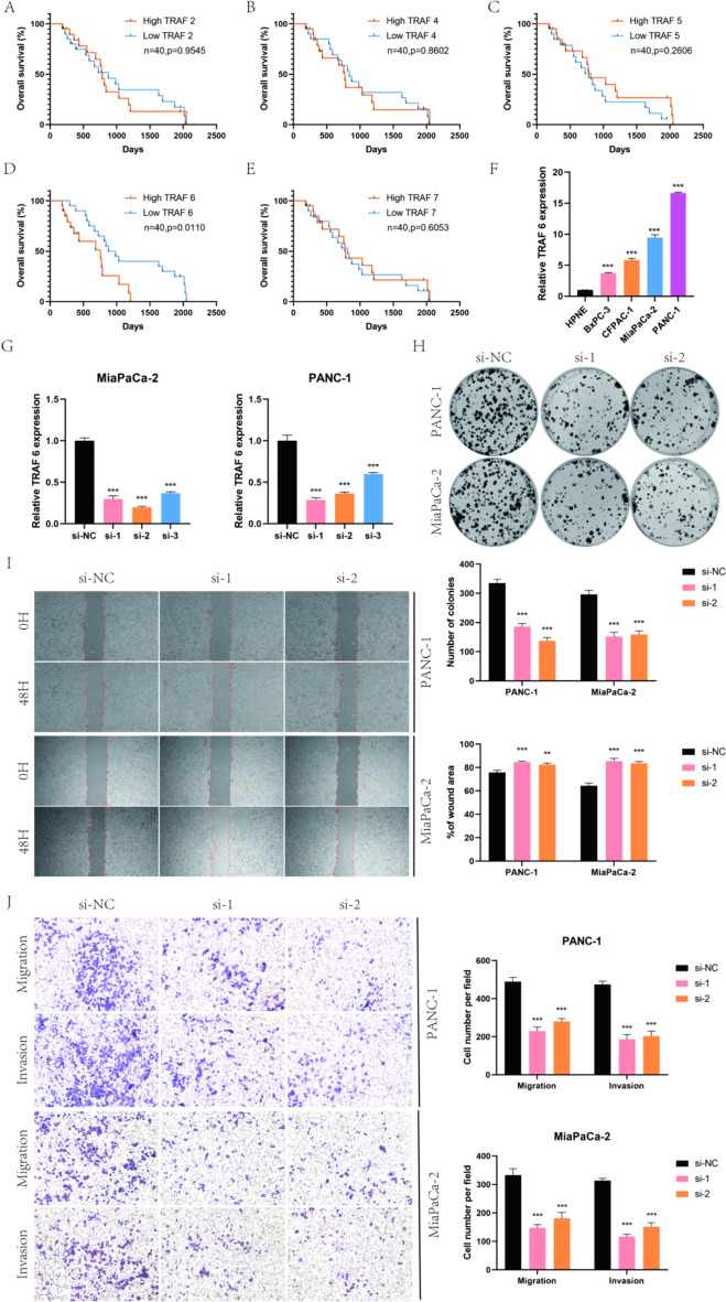 PMC11145793 – Fig10