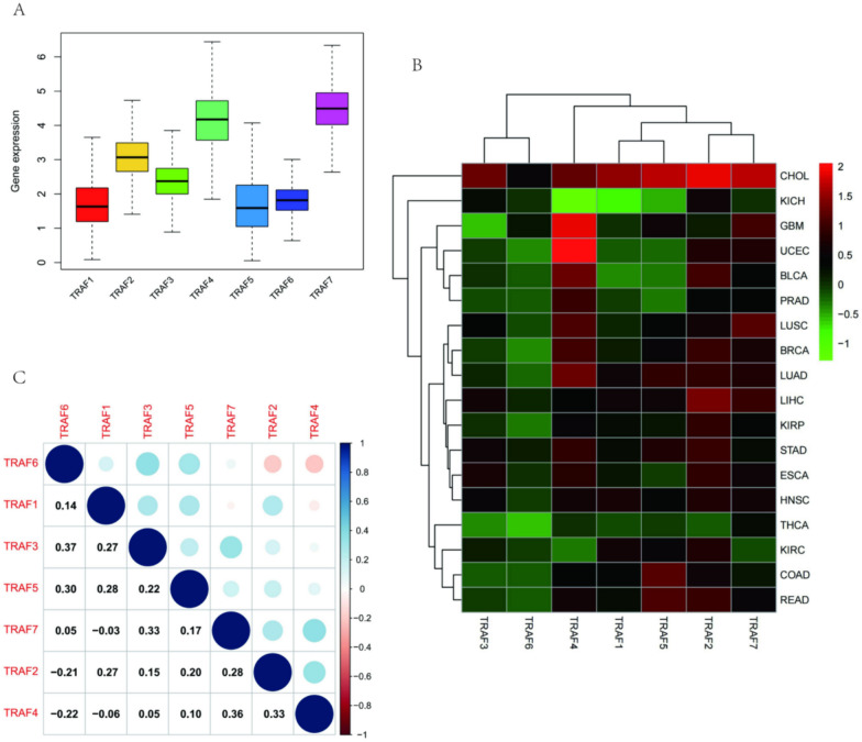 PMC11145793 – Fig1