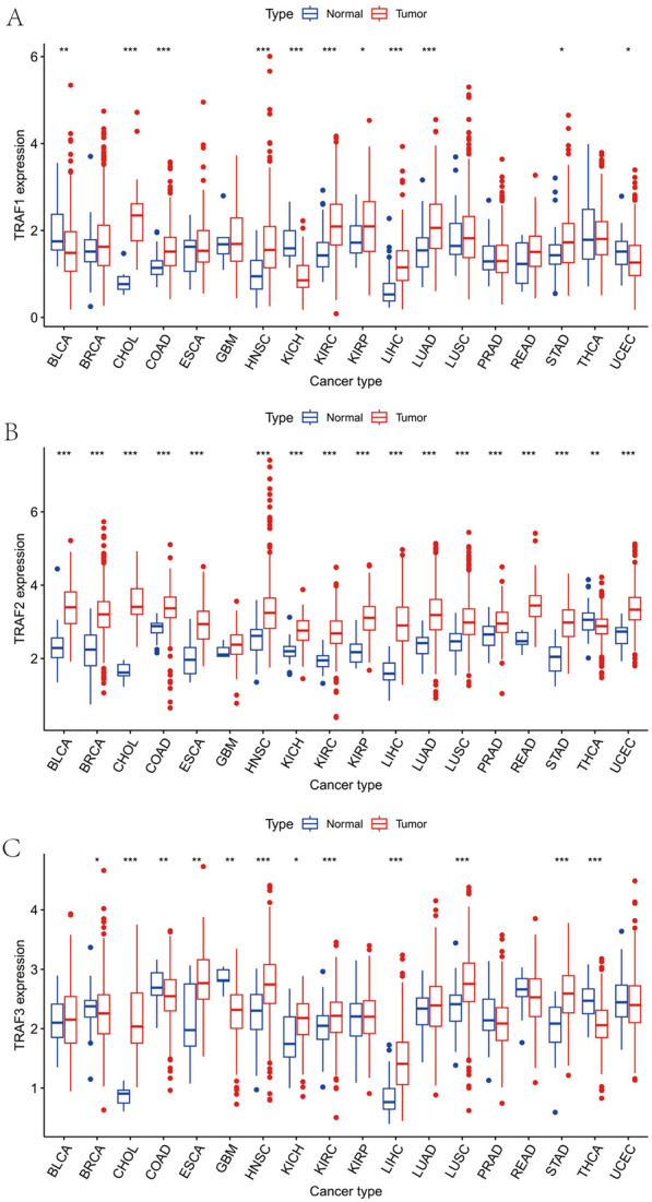 PMC11145793 – Fig2
