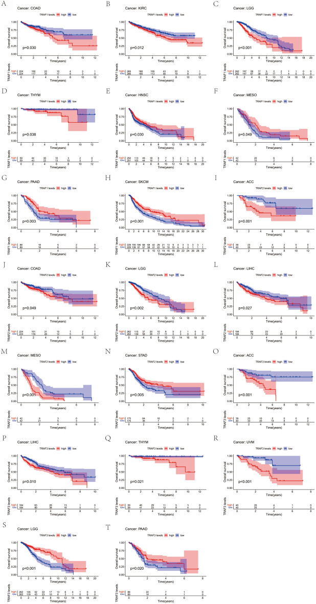 PMC11145793 – Fig3