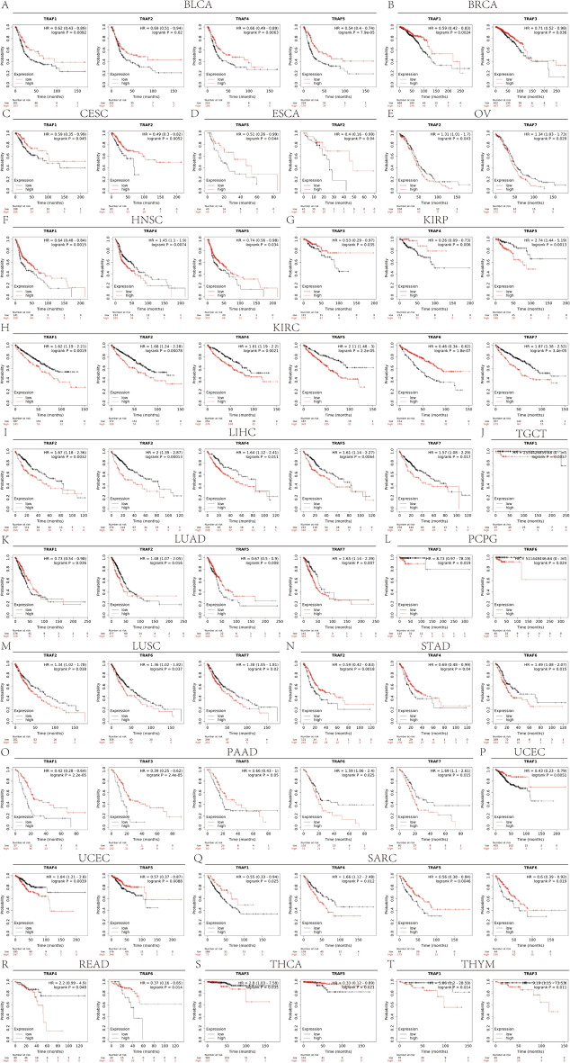PMC11145793 – Fig5