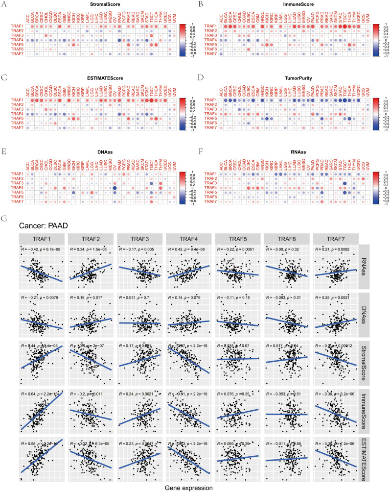 PMC11145793 – Fig6