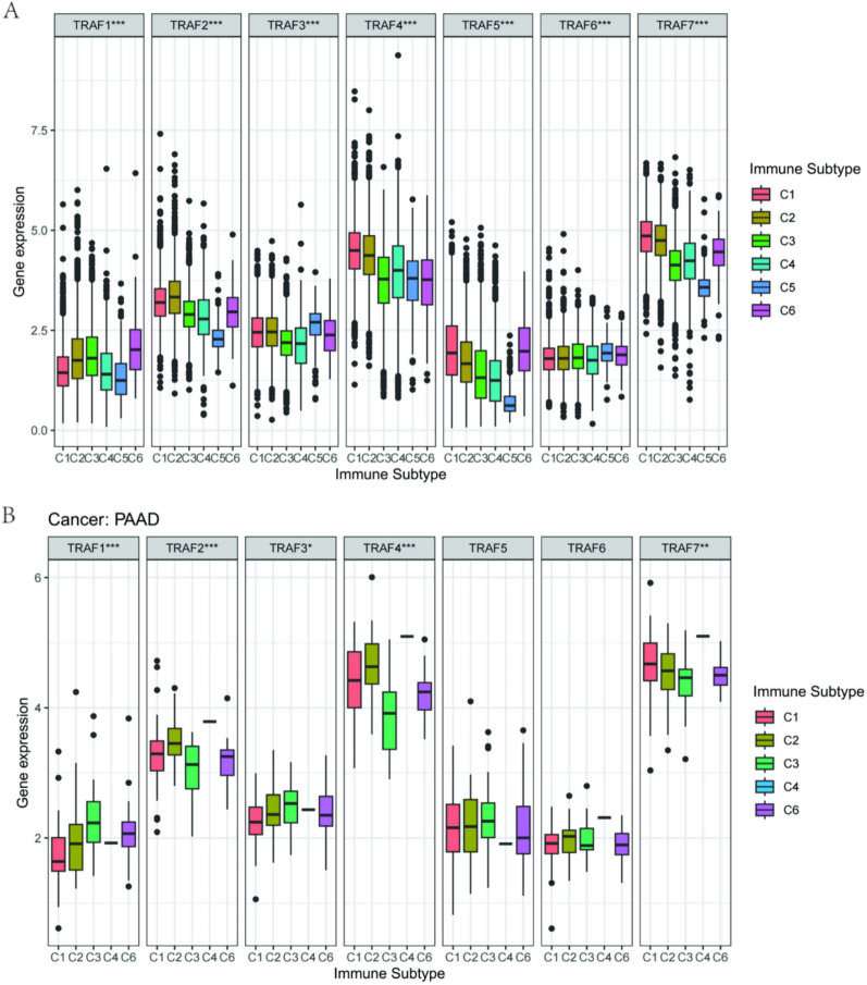 PMC11145793 – Fig7