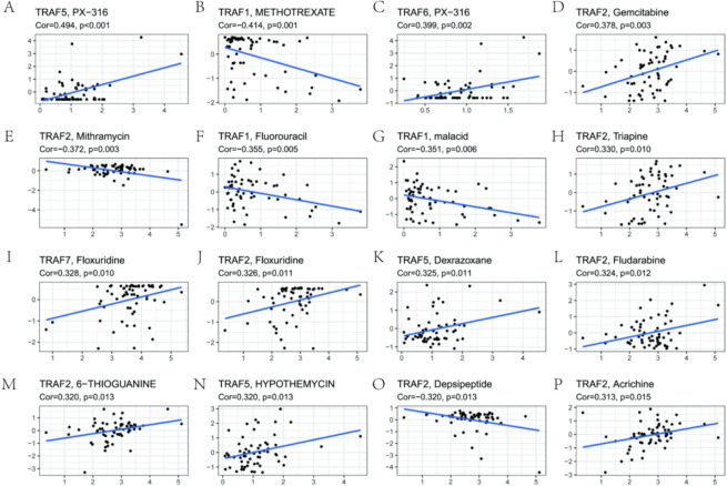 PMC11145793 – Fig8