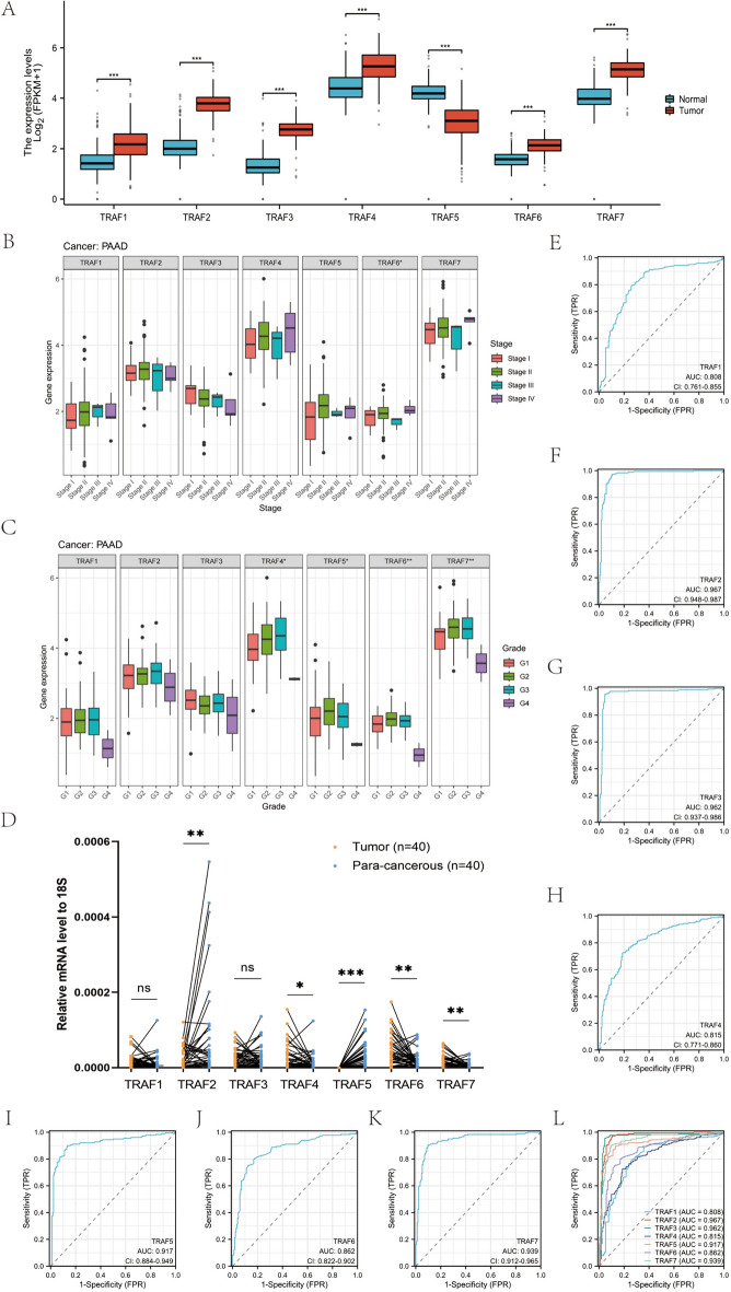 PMC11145793 – Fig9