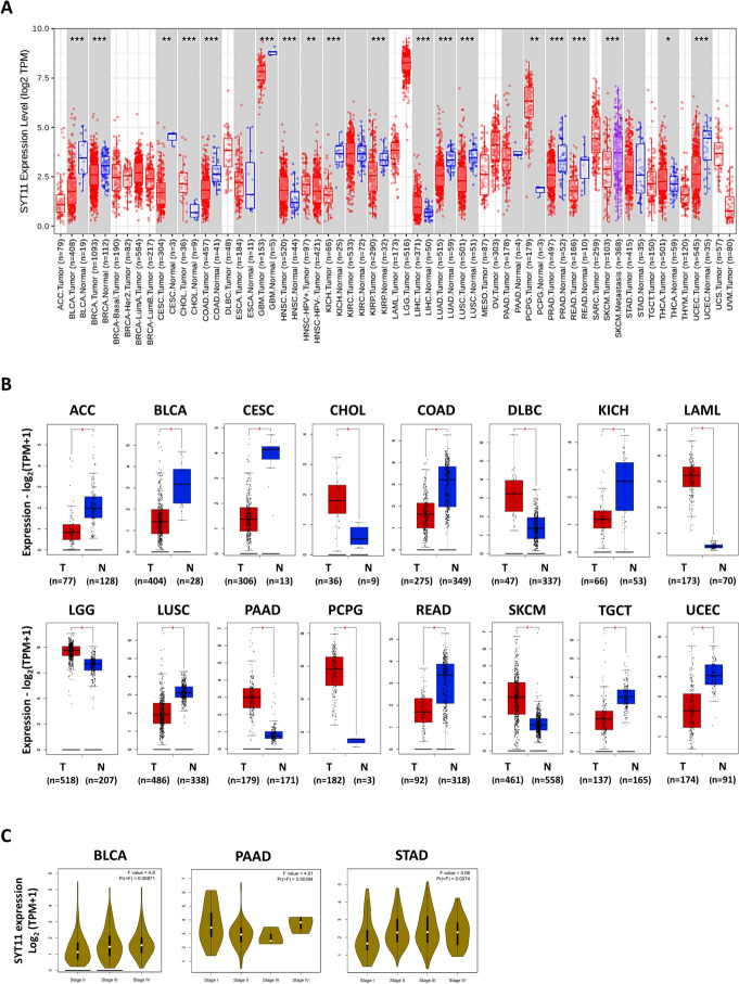 PMC11186215 – Fig1