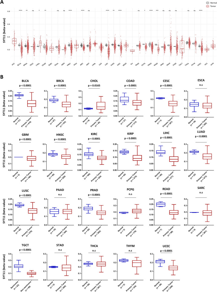 PMC11186215 – Fig4