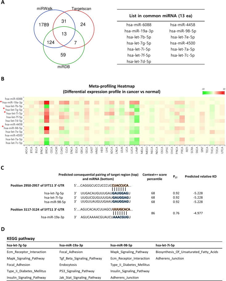 PMC11186215 – Fig5