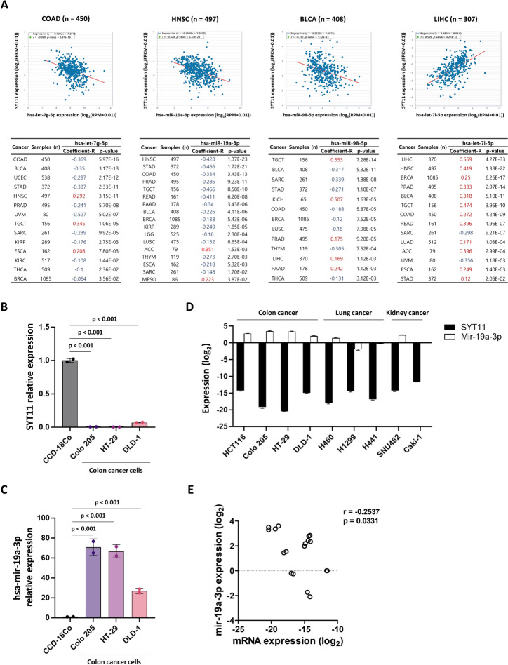 PMC11186215 – Fig6
