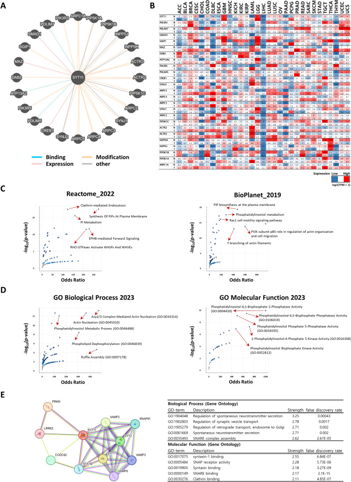 PMC11186215 – Fig8