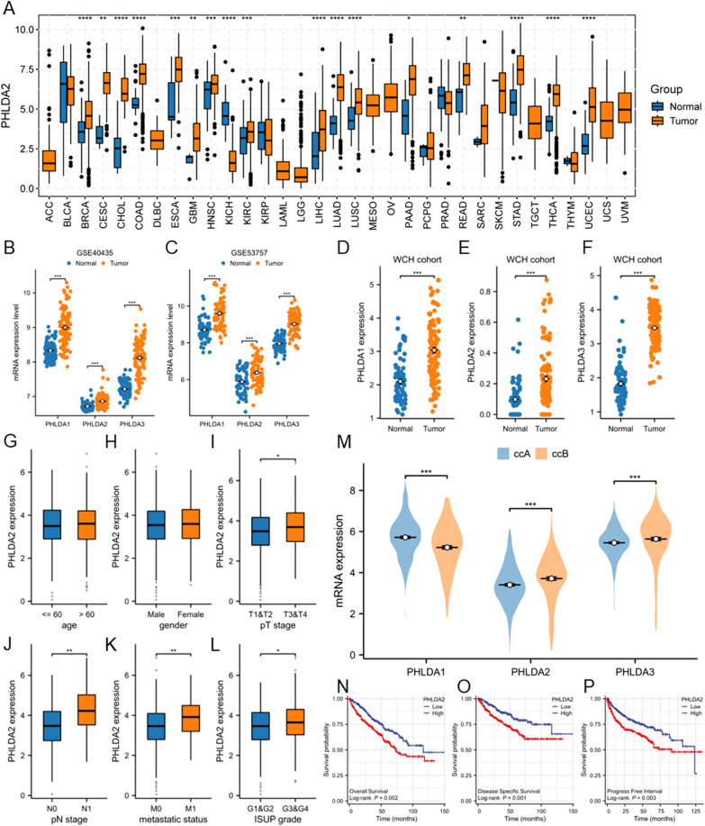 PMC11264912 – Fig1