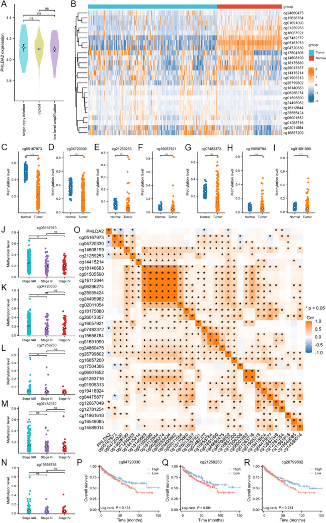 PMC11264912 – Fig2