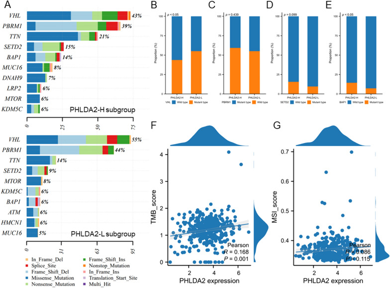 PMC11264912 – Fig3