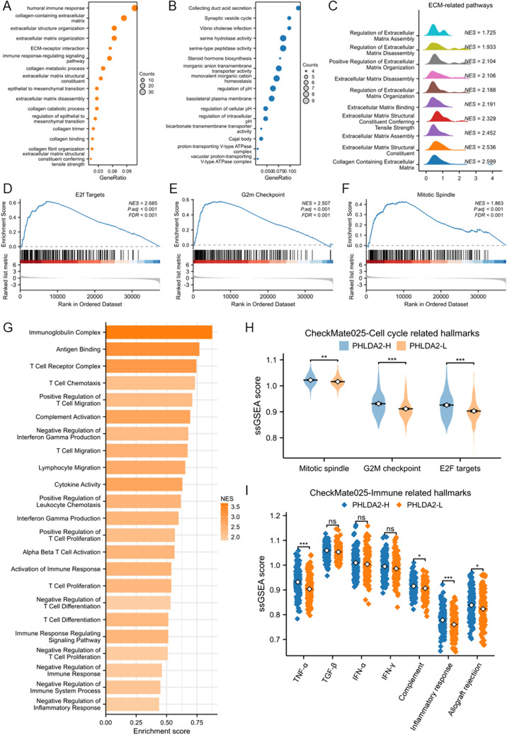 PMC11264912 – Fig4