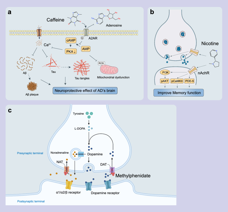 PMC12291523 – Fig3