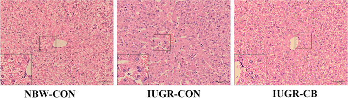 PMC10009951 – Fig1