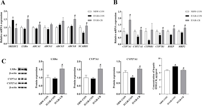 PMC10009951 – Fig3