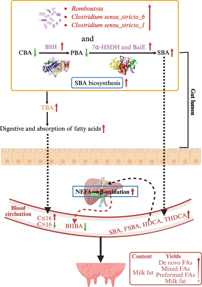 PMC12160099 – Fig5