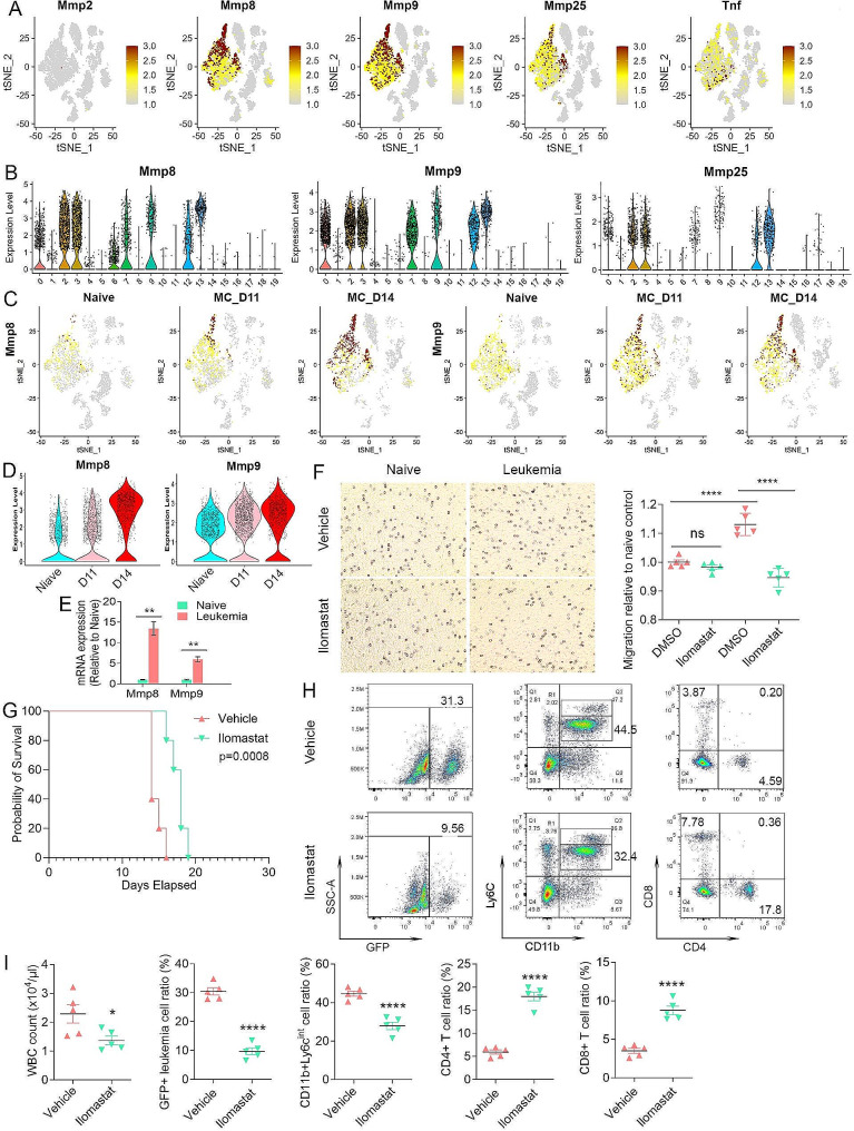 PMC11084112 – Fig6