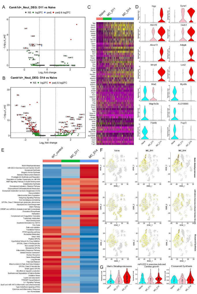 PMC11084112 – Fig4
