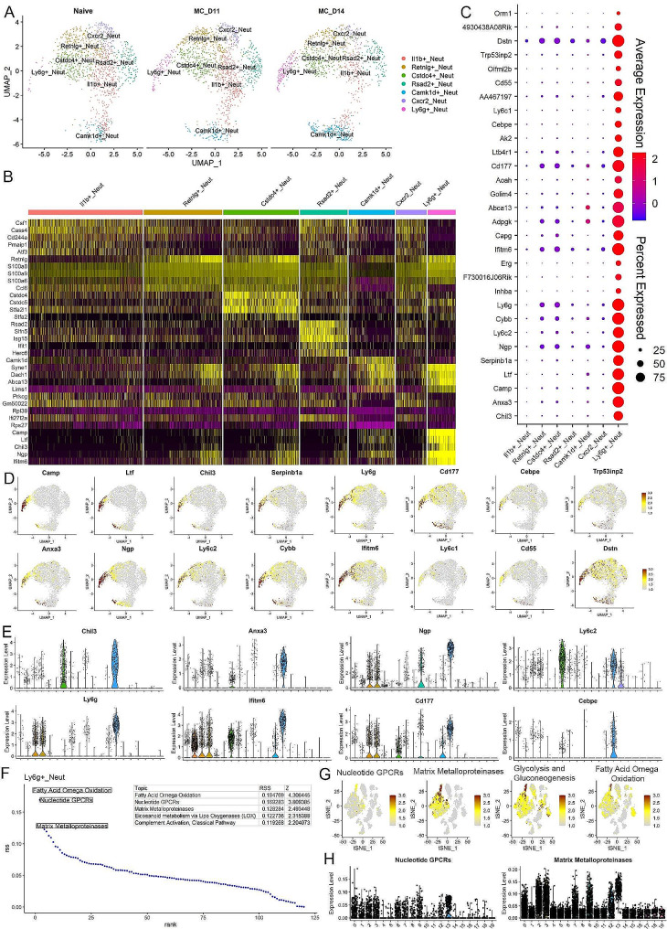 PMC11084112 – Fig3
