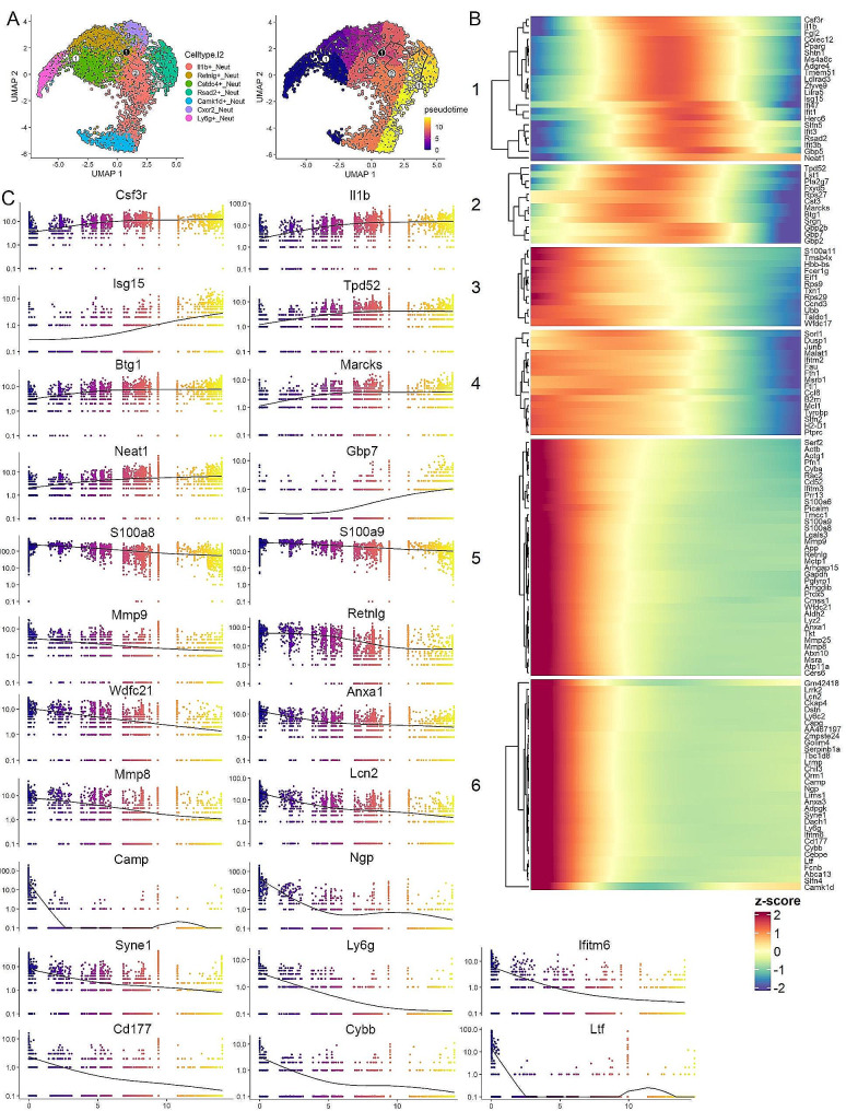PMC11084112 – Fig5