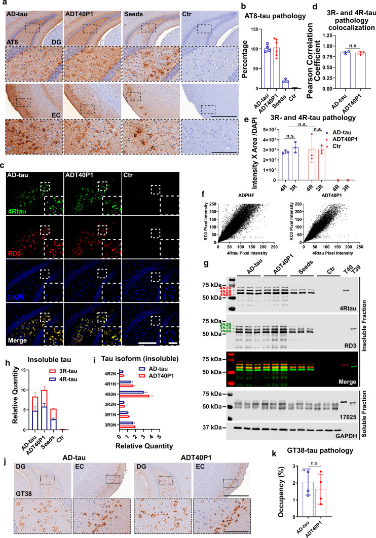 PMC7847465 – Fig5