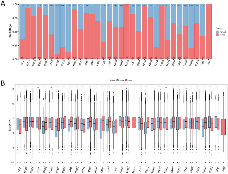 PMC11181644 – Fig1