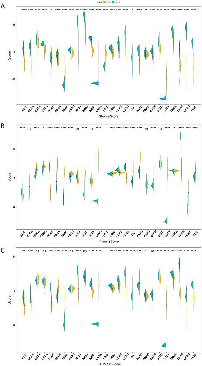 PMC11181644 – Fig4
