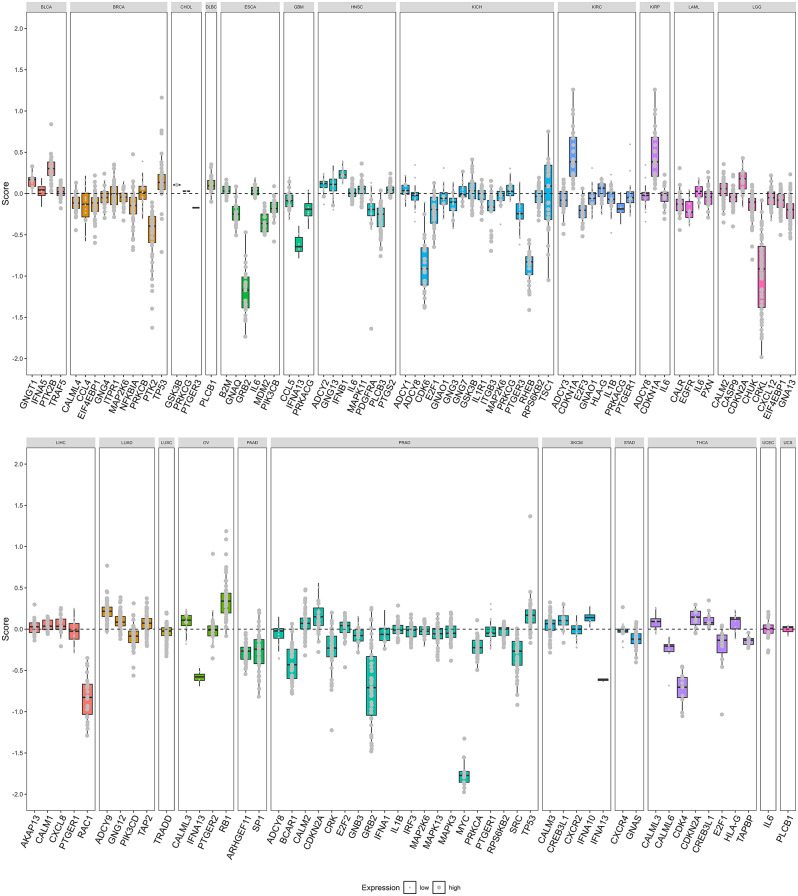 PMC11181644 – Fig6