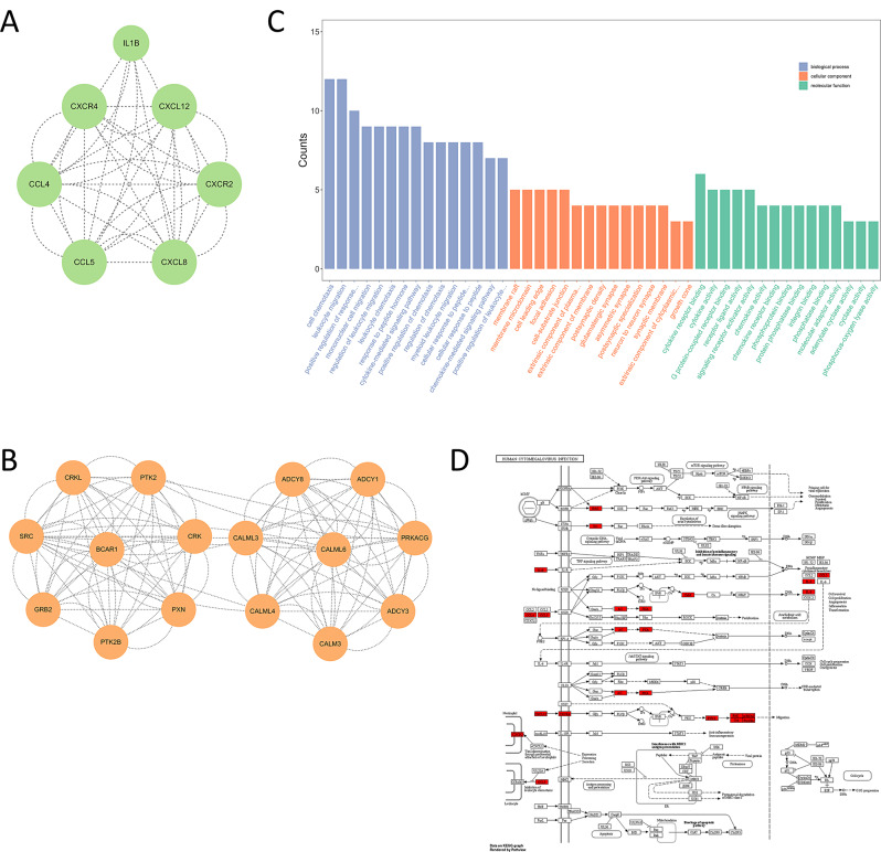 PMC11181644 – Fig8