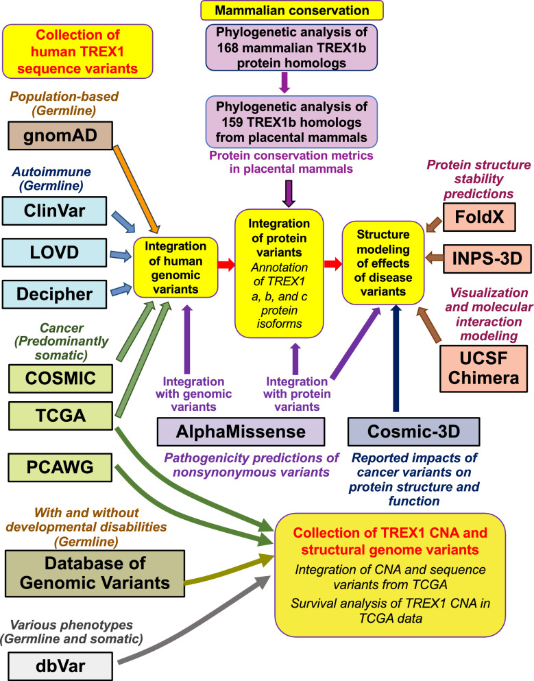 PMC12206365 – Fig1