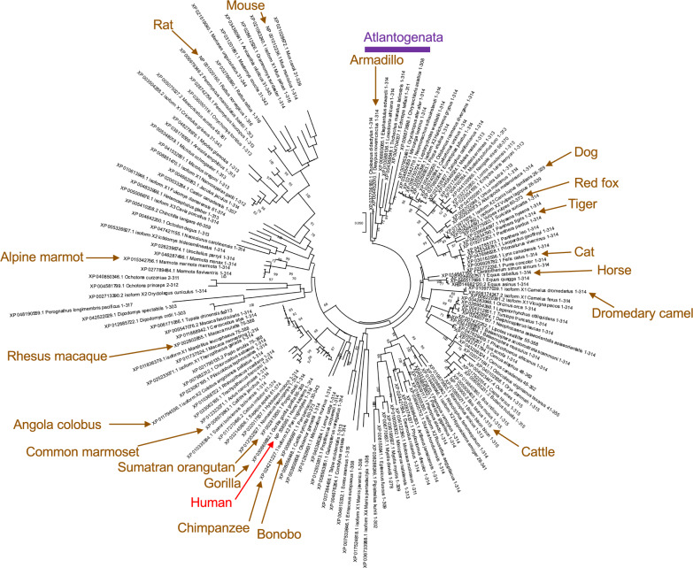 PMC12206365 – Fig2