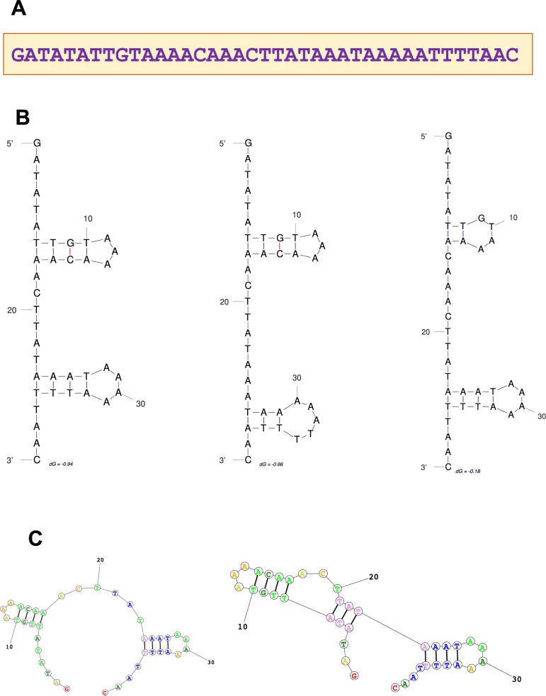 PMC12206365 – Fig3