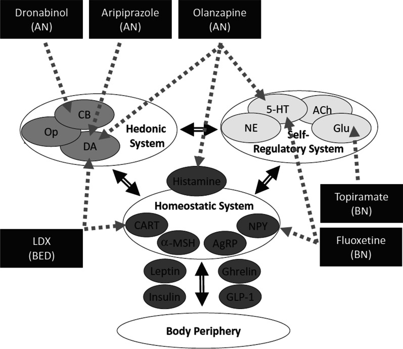 PMC10327007 – Fig1