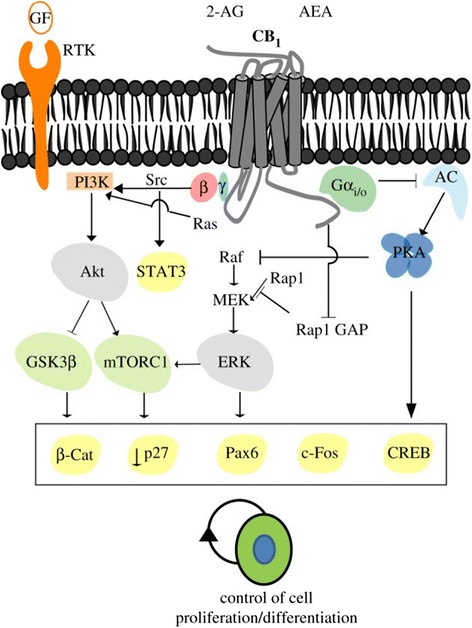 PMC5041313 – Fig2